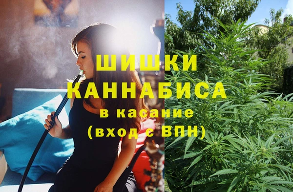 мет Арсеньев